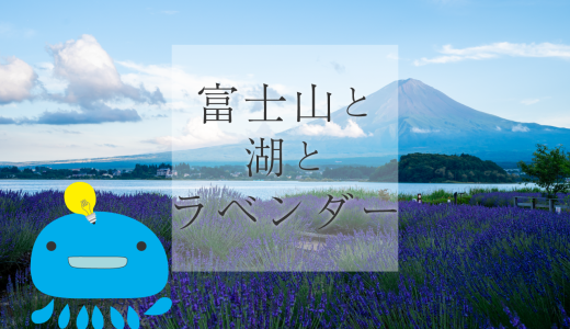 富士山と湖の絶景が見られる！河口湖の大石公園で満開のラベンダーを鑑賞